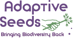 Adaptive seeds logo