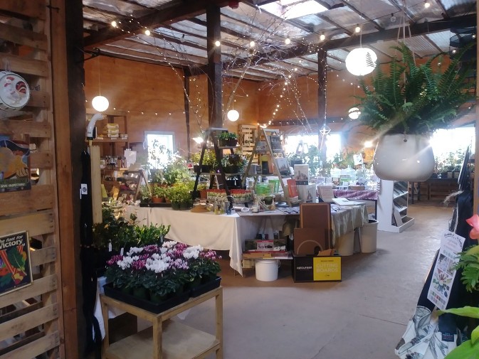 Discover our Upstairs! Houseplants, Homestead supplies, Gifts and More! -  Eastside Urban Farm and Garden Discover our Upstairs! Houseplants, Homestead  Supplies, Gifts and More