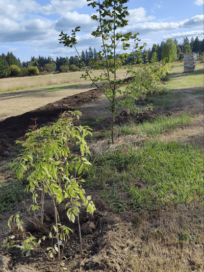 Blog - Eastside Urban Farm and Garden