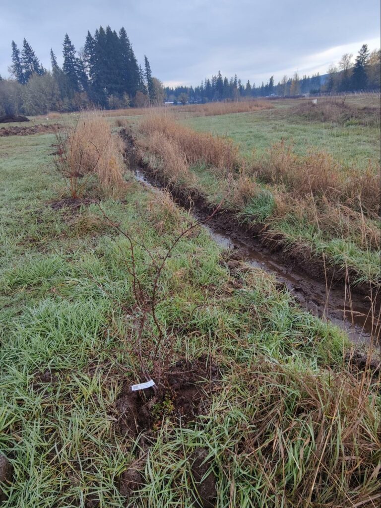 Swales and channels planted with native plants. We never mow these areas.