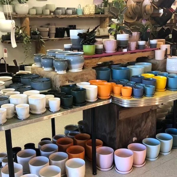 Discover our Upstairs! Houseplants, Homestead supplies, Gifts and More! -  Eastside Urban Farm and Garden Discover our Upstairs! Houseplants, Homestead  Supplies, Gifts and More