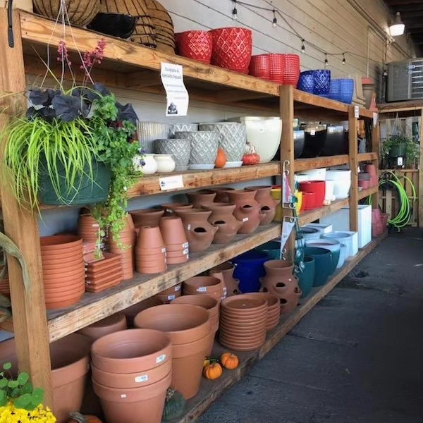 Larger outdoor pots and terra cotta pots.